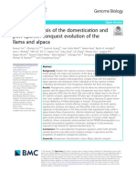 Genomic Analysis of Llama and Alpaca PDF