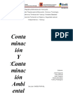 Contaminación Ambiental