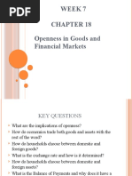 Week 7 Openness in Goods and Financial Markets