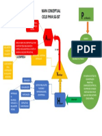 Actuar Mapa Conceptual