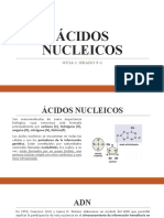 Ácidos Nucleicos Grado 9