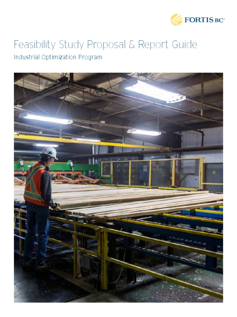 Feasibility Study Guide for Industrial Optimization | PDF | Feasibility ...