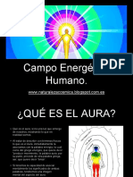 pdf-campo-energetico-humano
