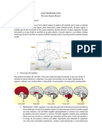 CEREBRO