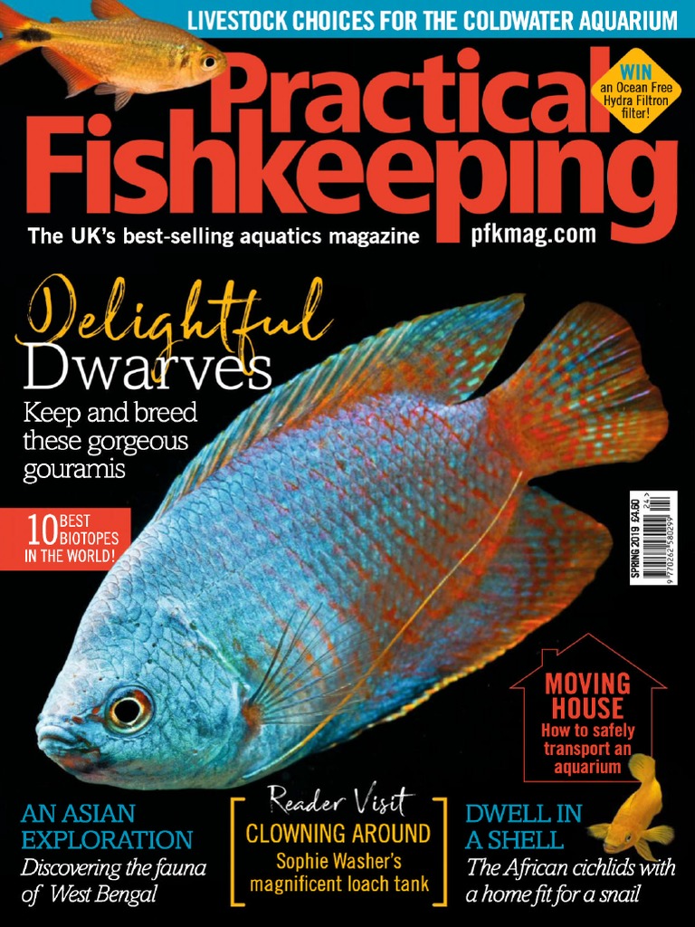 Practical fishkeeping 2024