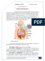 Sesion N°8-ANATOMIA