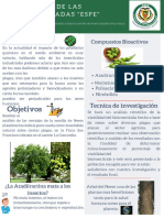 Poster del Proyecto integrador.pdf