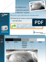 Cambios Generalizados de Radiodensidad