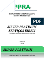 CAPA PPRA TOOLS SILVER revisada