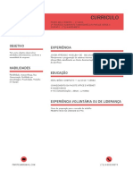 Curriculo VITAE.pdf