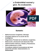Desarrollo Embriofetal Normal y Patológico