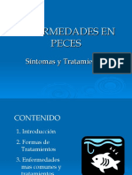 Enfermedades en Peces