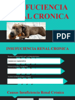 Insufuciencia Renal Cronica