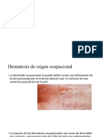 Dermatitis Grupo 7