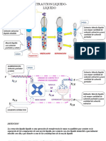 DIAPOSITIVAS EXTRACCION LIQUIDO-LIQUIDO