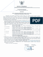Pengumuman Hasil SKD CPNS Kab - Lamandau Formasi 2019 PDF