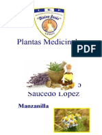 Plantas Medicinales