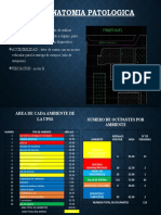 Anatomía patológica: definición, accesibilidad, ubicación y áreas de la UPSS