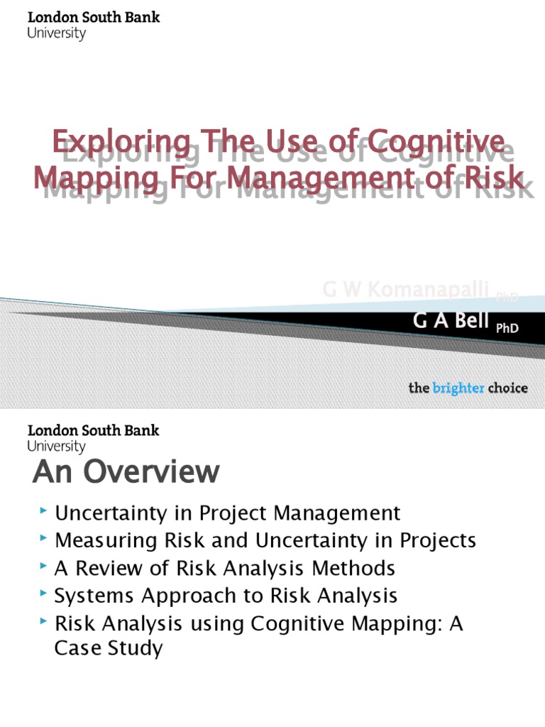 Risk Analysis Using Cognitive Mapping | PDF | Quantitative Research | Risk