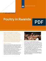 Factsheet: Poultry in Rwanda