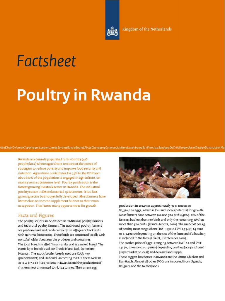 Factsheet: Poultry in Rwanda | PDF | Poultry | Rwanda