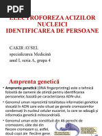 electroforeza acizilor nucleici