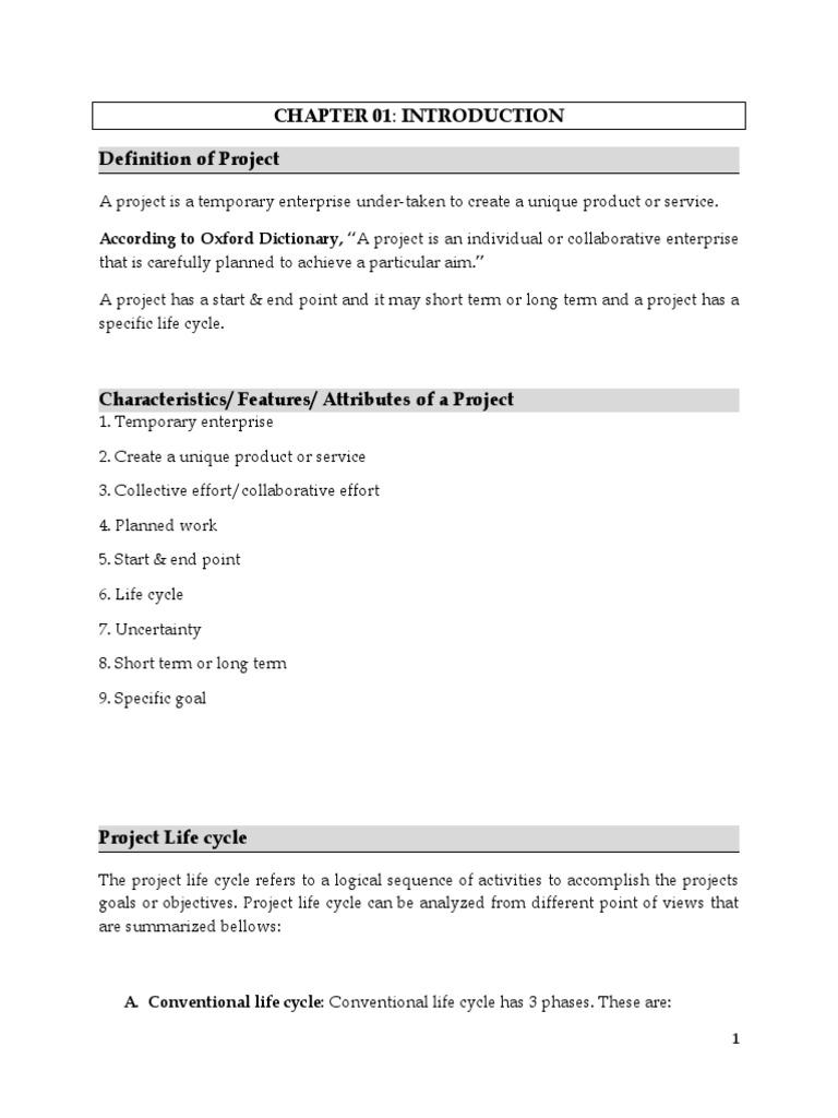Chapter 01 - Introduction | PDF | Project Management | Business