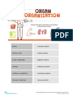 Body Basics III PDF