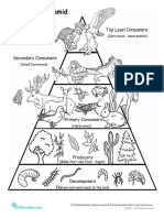 food-chain-pyramid.pdf