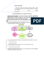 Adn Nucletidos 090530111549 Phpapp02