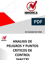 PLANTILLA 2019 Análisis de Peligros y Puntos Críticos de Control (HACCP) 2