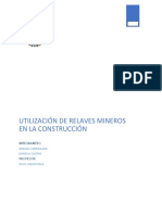 Informe Final Relaves