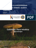 Una Mirada A La Biodiversidad Colombiana - Algas Hongos y Líquenes. Amaya 2020