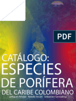 Catálogo de Porifera.