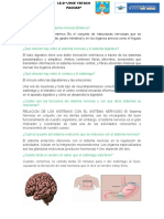 Dónde Se Ubica El Sistema Nervioso Enterico