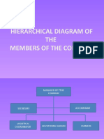 Hierarchical Diagram of THE Members of The Company