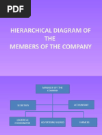 Hierarchical Diagram of The