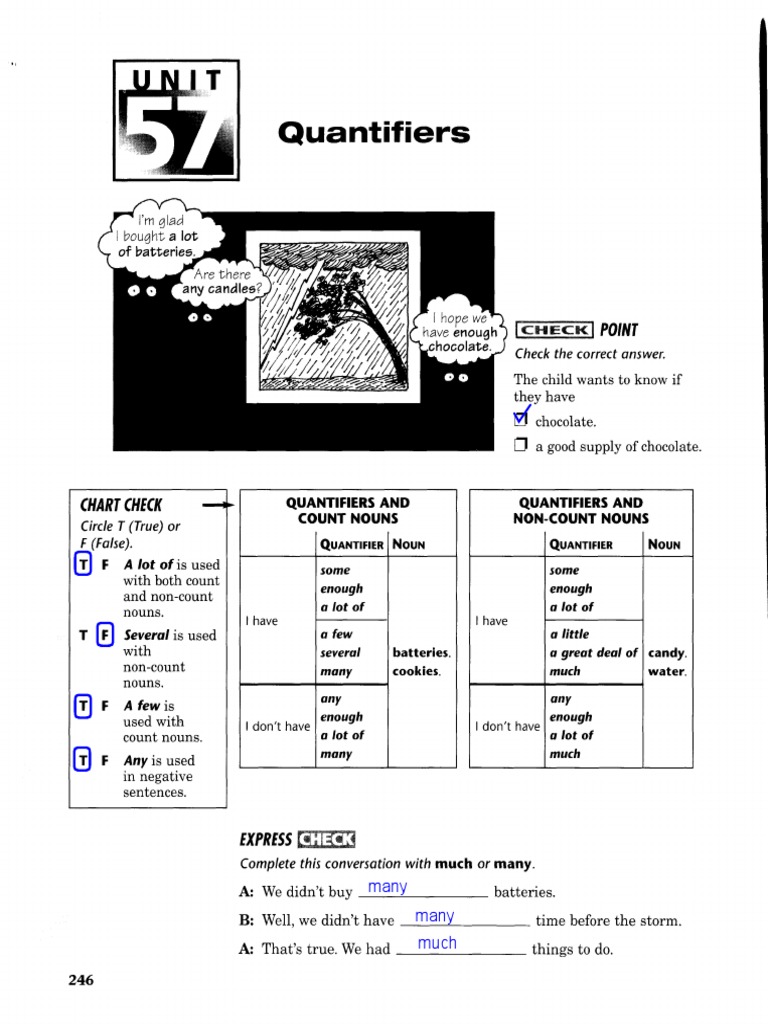 Understanding Basic Quantifiers | PDF