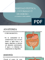ENFERMEDAD PEPTICA DEL ESTOMAGO Y DUODENO radiodiagnostico 2