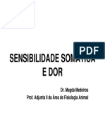 5sensibilidade somatica e dor PDF-fISIOLOGIA SENSORIAL