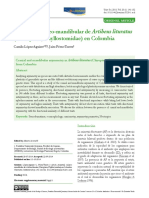 Lopez y Perez-Torres 2015 Universitas - Asimetria Artibeus PDF