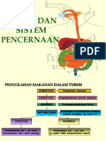 I Organ Dan Sistem Pencernaan PDF