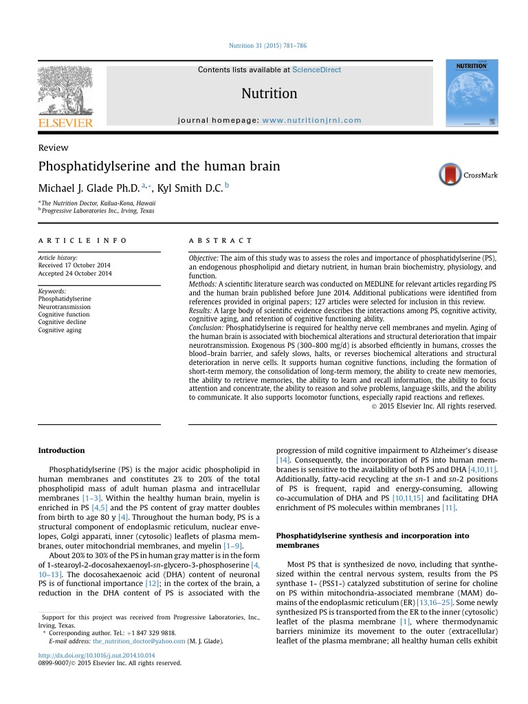 Phosphatidylserine and The Human Brain | PDF | Mitochondrion | Chemical ...