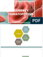 8 - Sangre y Hematogenesis