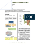 Guia de BioL. Nro 6.3.1 - Francisco Herrera Caballero