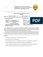 MM420 2020 Virtual PDF