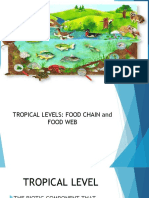 Tropical Levels and Food Chains