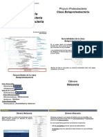 Betaproteobacterias Modificado