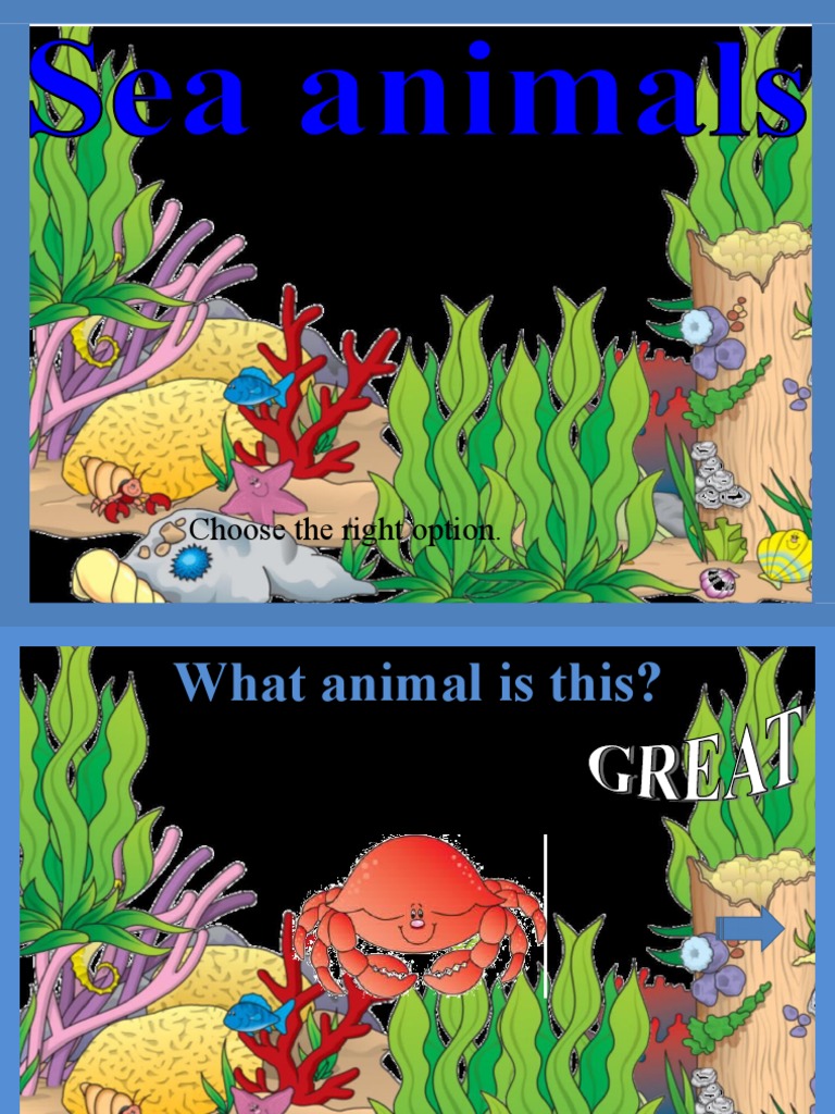 Sea Animals Game PDF