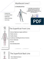 What-are-the-Myofascial-Lines.pdf